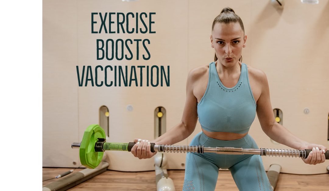 Exercise boosts Vaccination